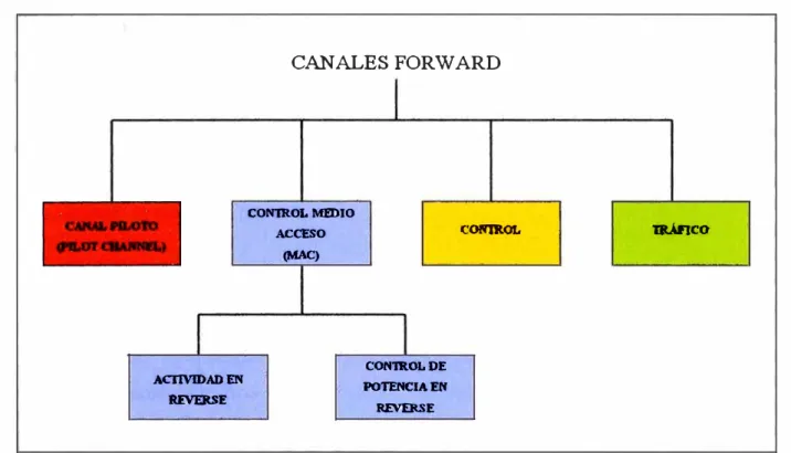 Fig. Nº 1.8: CANALES FORW ARD (3)