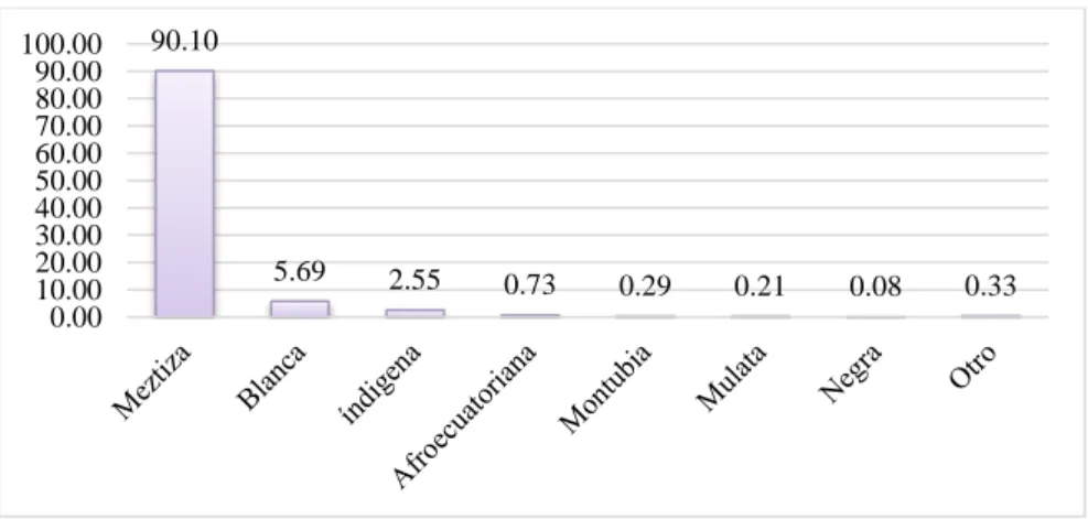 Gráfico 2. Grupos étnicos de Vilcabamba 