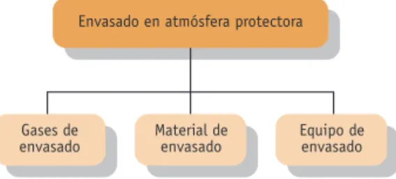 FIGURA 2 Componentes básicos del sistema de envasado en atmósfera protectora.