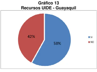 Gráfico 13 