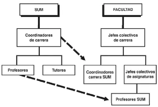 Figura 1. Estructura y niveles organizativos en las Facultades y SUM.