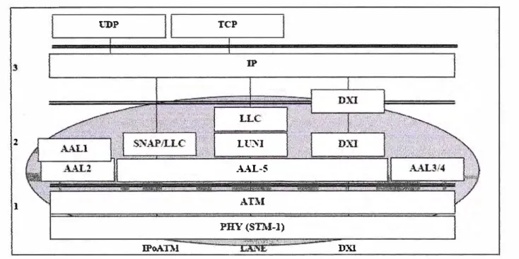 Figura 3.1  Modelo de capas para TCP/IP sobre ATM. 