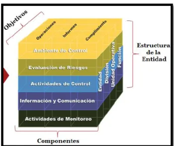 GRÁFICO N° 5: CUBO COSO 2013 