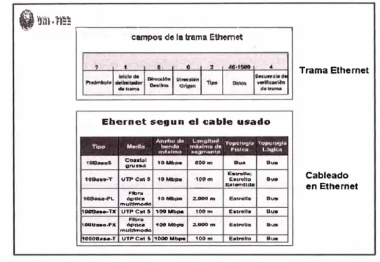 Fig. 2.5 Trama y Cableado Ethernet 