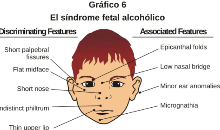 Gráfico 6