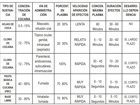 Cuadro 21  Formas de abuso
