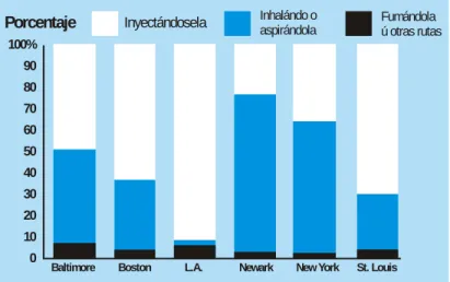 Gráfico 8