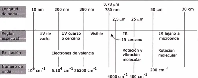 GRÁFICO Nº 01 