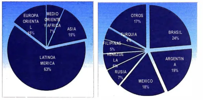 GRÁFICO N º  01 