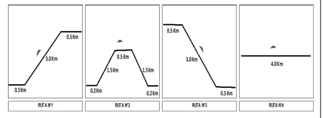 FIGURA 10: RUTAS 
