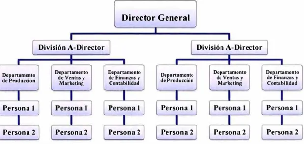 FIGURA 11- 3: Estrcutura divisional. 