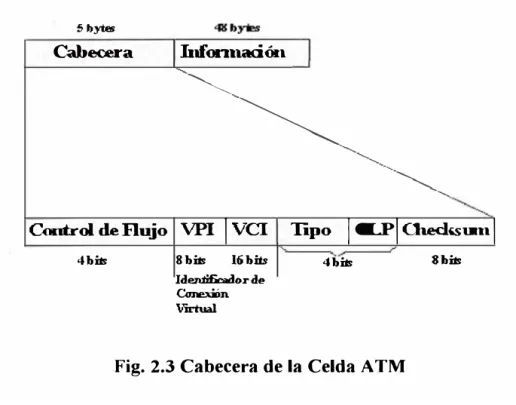 Fig. 2.3 Cabecera de la Celda A TM 