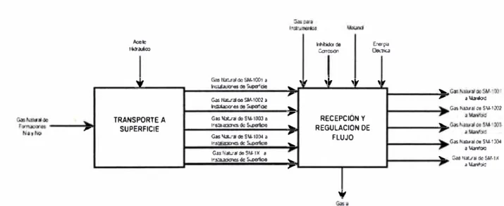 Figura  1.4: Diagrama Funcional de Bloques de la Captación en SMl 