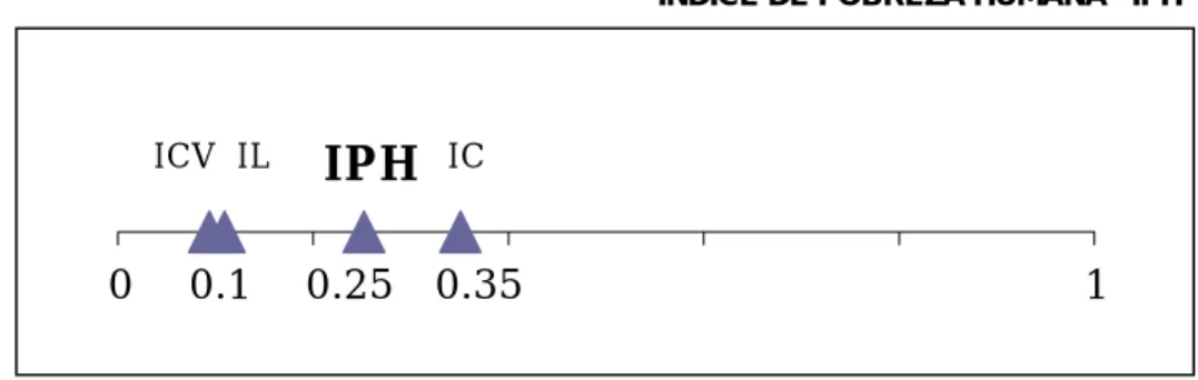 Gráfico 6