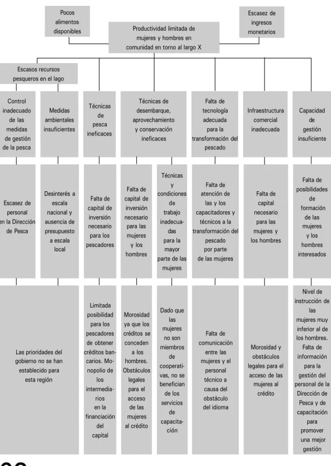 Cuadro IV. Ejemplo de un árbol de problemas (CCE, 1993)