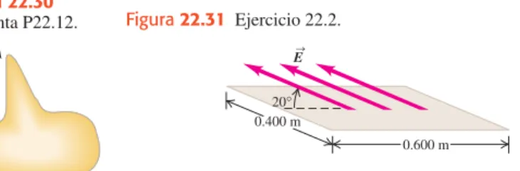 Figura 22.32 Ejercicios 22.4 y 22.6; Problema 22.32.