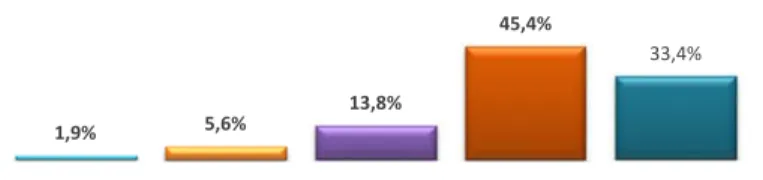 Gráfico 15   Ritmo de vida
