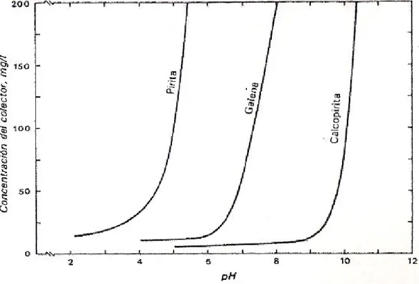 FIGURA N° 2.4  Curvas Críticas de pH para flotación de dietil-ditiofosfato de sodio  como colector