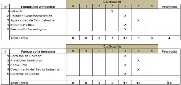 Cuadro  9:  Matriz  Posición  Estratégica  y  Evaluación  de  Acciones  PEEA              (estabilidad ambiental-fuerza de la industria) 