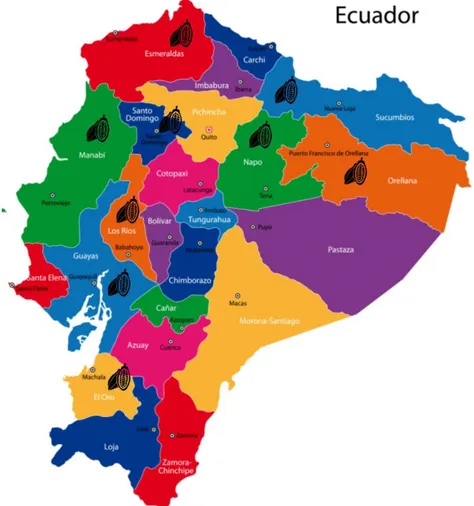 Figura 1. 3. Mapa de cultivos de cacao en el Ecuador 