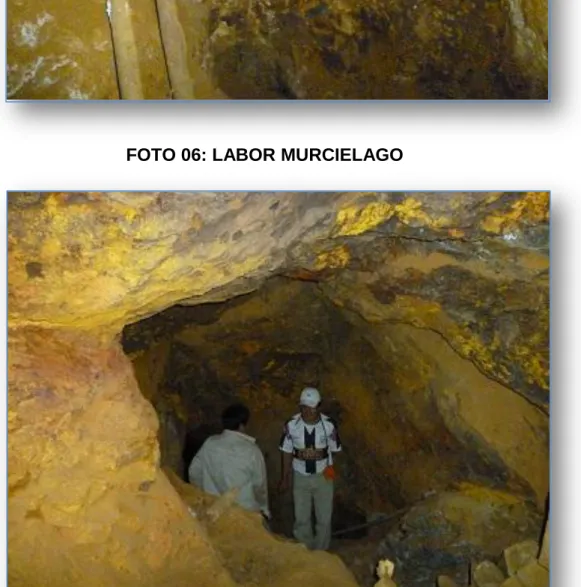 FOTO 06: LABOR MURCIELAGO 