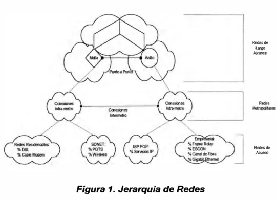 Figura 1. Jerarquía de Redes 