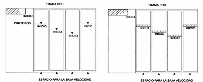 Figura 1.4. Estructura de las tramas SDB y PDB. 