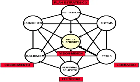 Cuadro 12: Un nuevo concepto de organización  Fuente: Módulo análisis prospectivo y Plan estratégico 