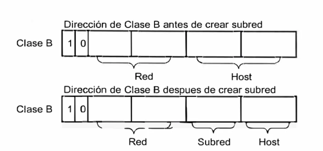 Figura  1.3.  Subred de una dirección de clase  A. 