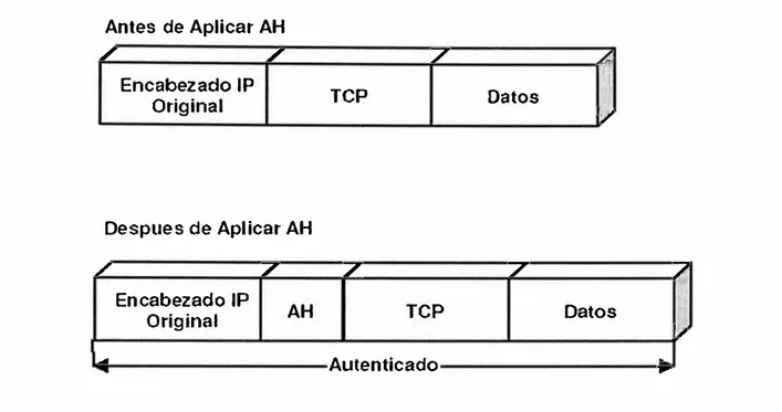 Figura 3.12  Transformación del paquete IPv4 al aplicar AH en modo transporte  La  aplicación  de  AH  en  modo  túnel,  tiene  una  ubicación  similar  a  la  de  ESP,  en  la  figura  3 .13  se  muestra  la  transformación  de  los paquetes  IP  al  apli