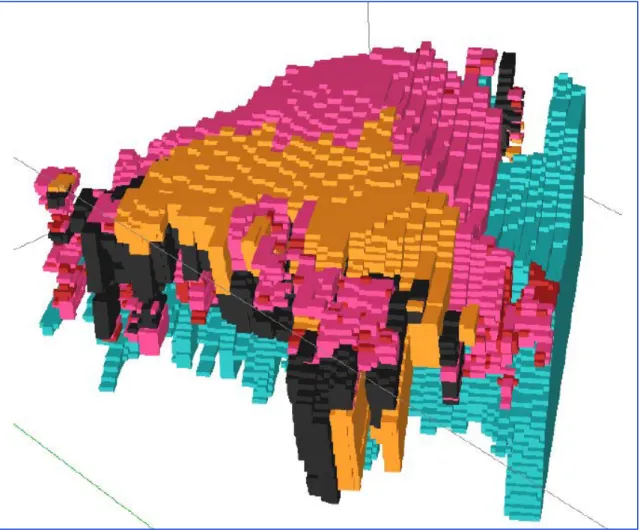 Ilustración  3.5  Modelo de bloques con información del  tipo de mineral