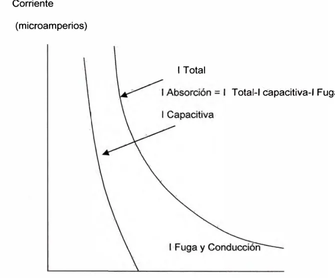 Figura  3.4  Componentes de la Corriente de Aislamiento  en la.prueba d.c. 