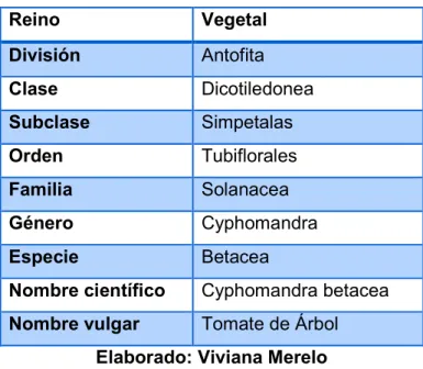 Tabla 1: Clasificación Botánica 