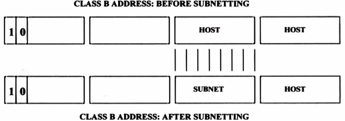 Fig. 2.- Bits son tomados prestados del campo de Host. 
