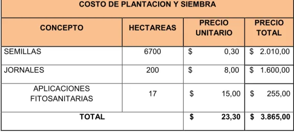 Tabla 9- Costo de plantación y siembra de semillas de piña MD2 