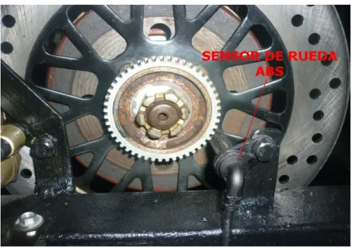 FIGURA 13: Sensor de velocidad de rueda 