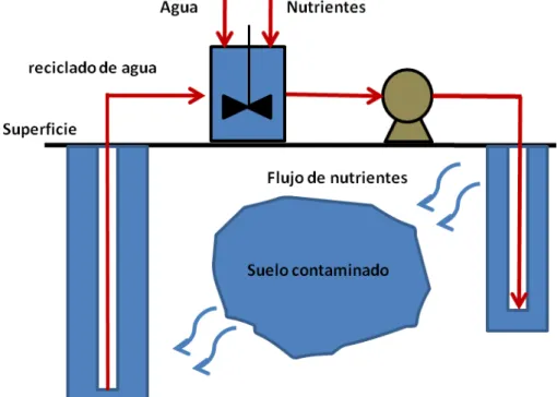 Fig. Esquema de biorecuperación asistida. 
