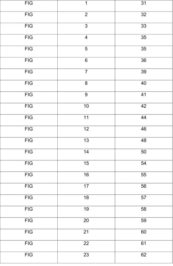 TABLA DE CONTENIDO DE FIGURAS  FIG  1  31  FIG  2  32  FIG  3  33  FIG  4  35  FIG  5  35  FIG  6  36  FIG  7  39  FIG  8  40  FIG  9  41  FIG  10  42  FIG  11  44  FIG  12  46  FIG  13  48  FIG  14  50  FIG  15  54  FIG  16  55  FIG  17  56  FIG  18  57  