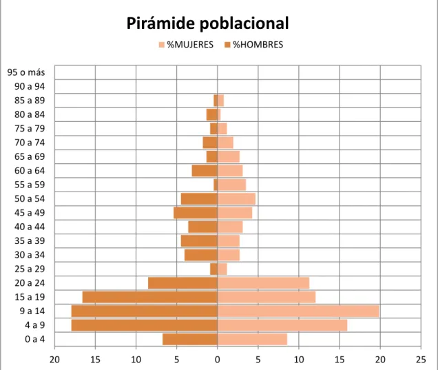 Gráfico 1. Pirámide poblacional 