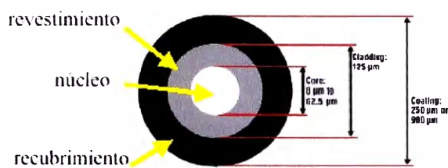 Figura 3.3  Estructura de la Fibra Óptica 