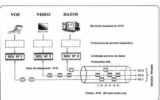 Figura 2.2 - Formato básico y la Jerarquía de A TM 