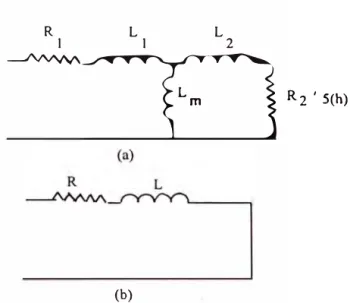 Fig. 1.16: Representación de un Motor de Inducción  (a) Representación Completa