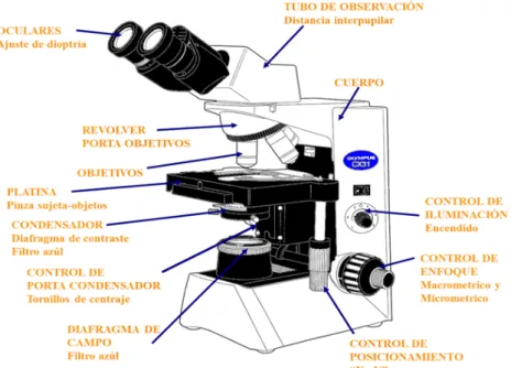 Figura 2.5 Microscopio Óptico 