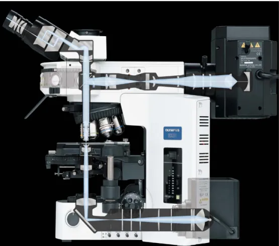 Figura N° 4.4 Microscopio de Polarización 
