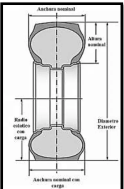Figura 2. Dimensiones de la rueda 