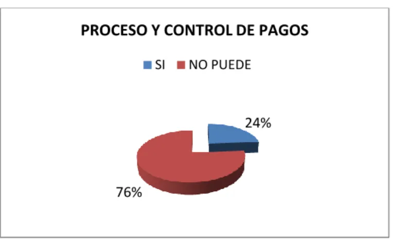 GRÁFICO 13