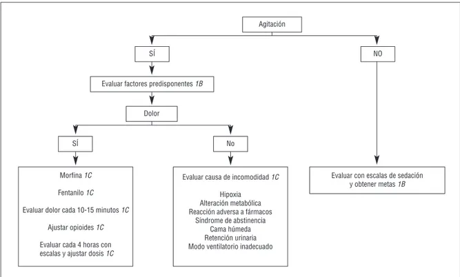 Figura 2. Algoritmo para la sedación y analgesia de los pacientes sin intubación traqueal.