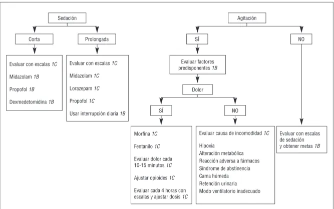 Figura 4. Algoritmo para la sedación y analgesia en los pacientes con intubación traqueal.