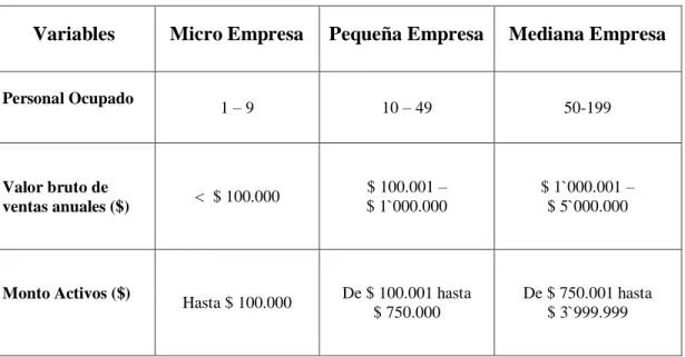 TABLA 1 /  CARACTERÍSTICAS DE LAS  PYME