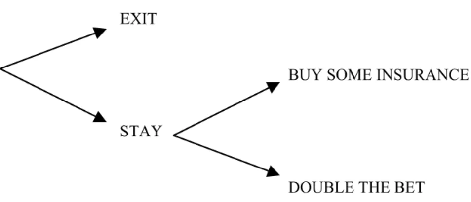 Figure 4: Schematic policy decision tree under Convertibility  EXIT 